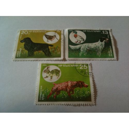 Lot De 3 Timbres Chiens De Chasse Bulgarie 1985