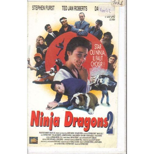 Ninja Dragons 2