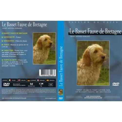 Le Basset Fauve De Bretagne ( Basset Artesien Normand )