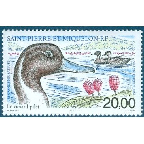 Saint Pierre Et Miquelon 1999 - Le Canard Pilet - Poste Aérienne - Pa 79 - Neuf **