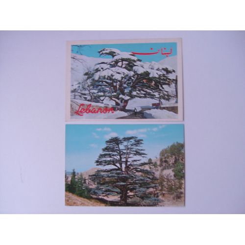 2 Cartes Des Cèdres Du Liban
