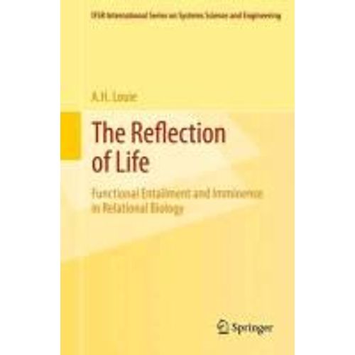 The Reflection Of Life