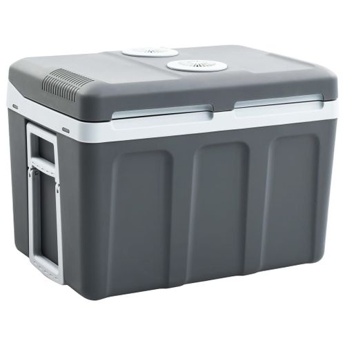 Vidaxl Glacière Portable Thermoélectrique 40 L 12 V 230 V E