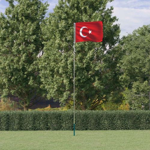 Vidaxl Drapeau De La Turquie Et Mât 5,55 M Aluminium