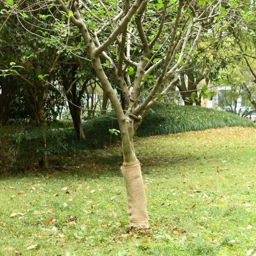 Vidaxl Rouleau De Jute 0,5x5 M 100 % Jute 200 G/M²