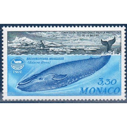 Commission Internationale Pour La Protection De La Baleine
