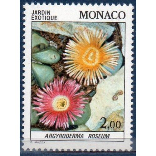 Plante Du Jardin Exotique