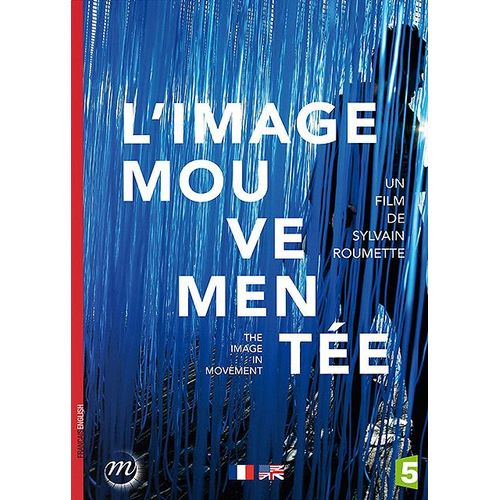 L'image Mouvementée