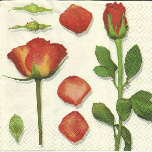 Lot De 2 Serviettes Déco Papier: Roses Rouges Sur Leur Tige Et Leurs Pétales