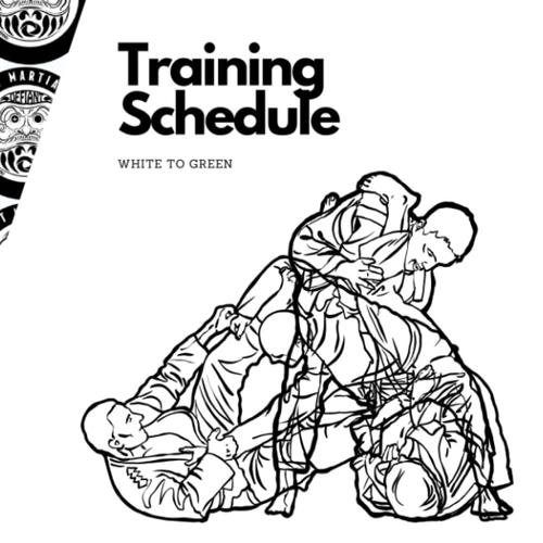 Defiant Martial Arts Training Schedule: White To Green