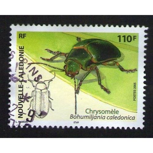 Timbre Oblitéré Used Stamp Chrysomèle Bohumiljania Caledonica 110 F Nouvelle Caledonie 2005 Wns N° Nc035.05