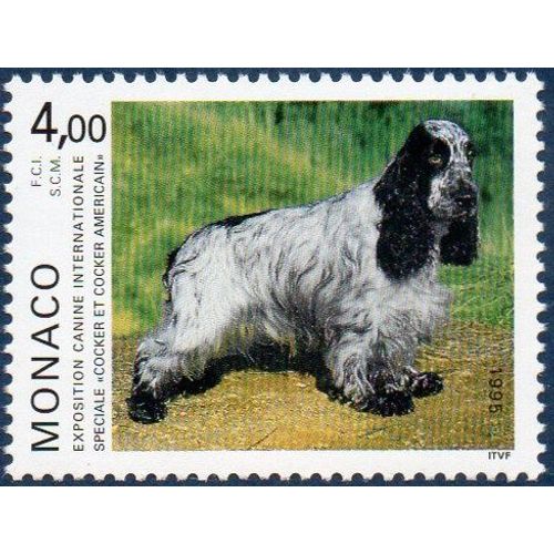 Exposition Canine De Monte Carlo Spéciale "Cocker"