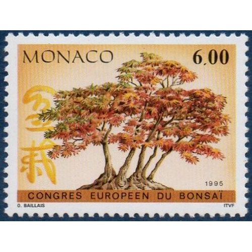 Congrès Européen Du "Bonzaï"