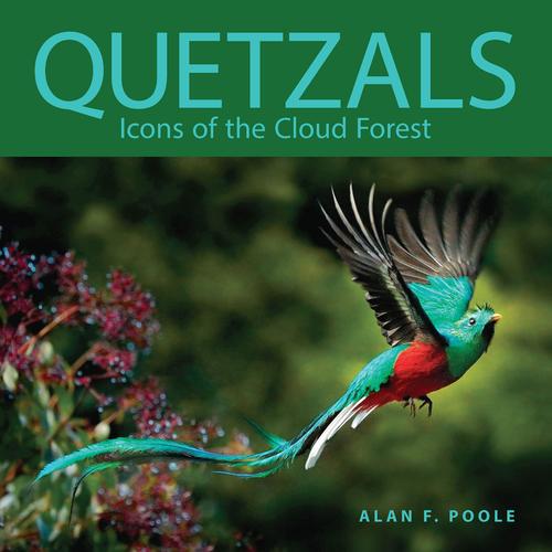 Quetzals