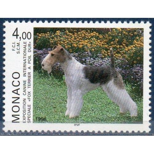 Exposition Canine Internationale "Fox Terrier"