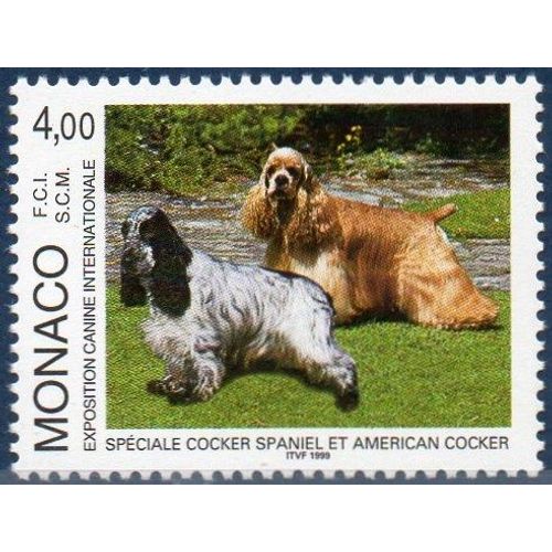 Exposition Canine Internationale Spéciale Cocker Spaniel