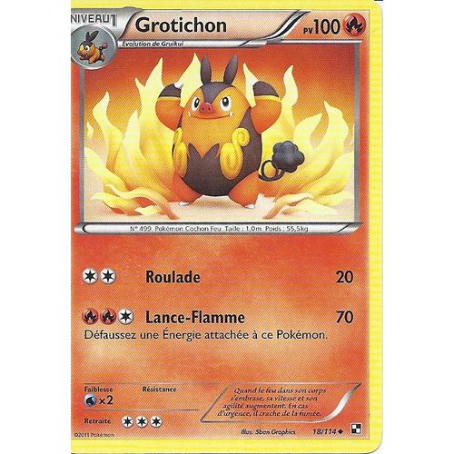 Grotichon Niv 1 'noir&blanc' 100 Pv 18/144