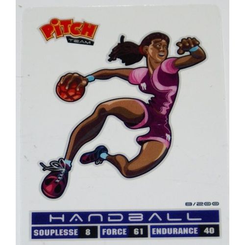 Pitch Team Handball  8/200
