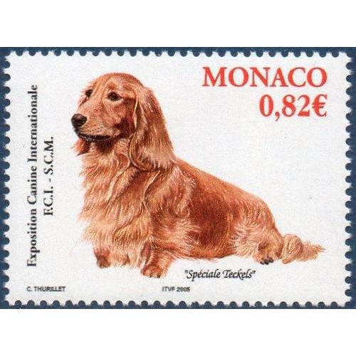 Exposition Canine Internationale (2005)