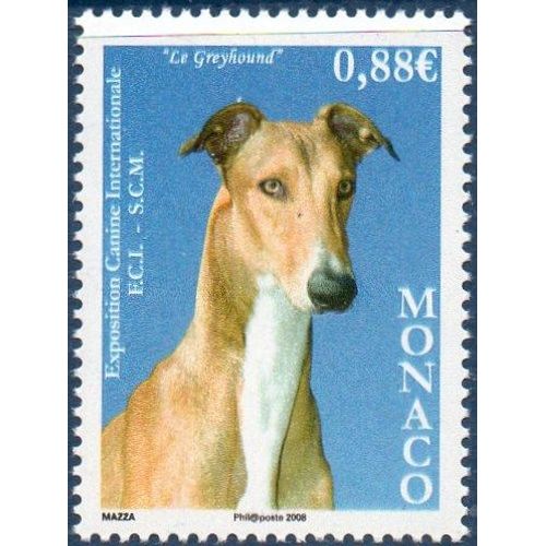 Exposition Canine Internationale (2008)
