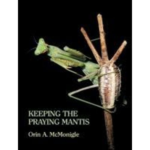 Keeping The Praying Mantis