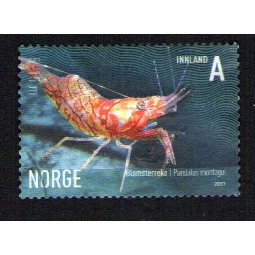 Norvege Oblitération Ronde Used Stamp Crevette Ésope Pandalus Montagui 2007 Wns N° 029.07