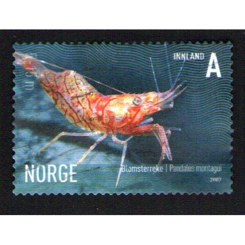 Norvege Oblitéré Used Stamp Crevette Ésope Pandalus Montagui 2007 Wns N° 029.07