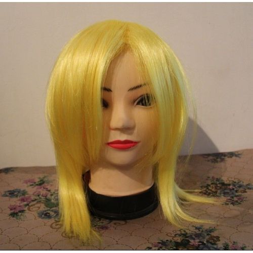 Perruque Cosplay Wig Déguisement Costume Amine Manga Japonais