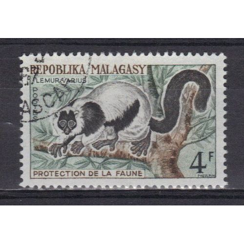 Madagascar 1961 : Lémuriens : Protection De La Faune : Emur Varius - Timbre Oblitéré