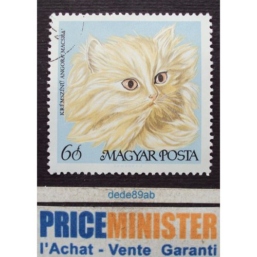 Hongrie.. 60 Magyar Posta . Chat Angora Crème . Oblitéré.