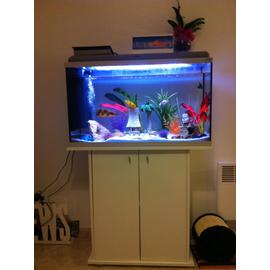 Soldes Aquarium 30 Litres - Nos bonnes affaires de janvier