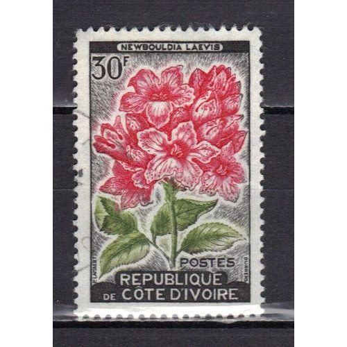 Cote D'ivoire 1967 : Fleurs Diverses : Newbouldia Laevis - Timbre Oblitéré