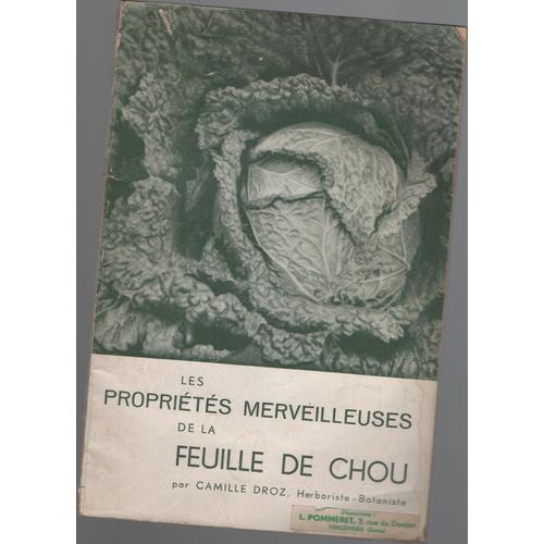 Les Propriètés Merveilleuses De La Feuille De Chou