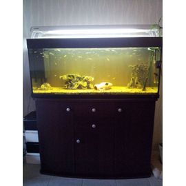 Aquarium Complet De 260 L