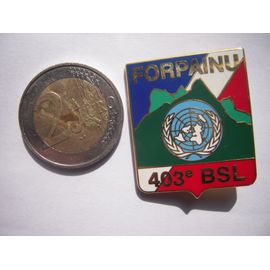 403° B.S.L, Bataillon De Soutien Logistique, Forpainu
