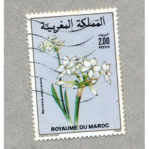 Timbre Maroc Oblitéré