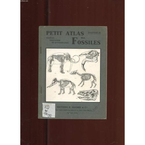 Petit Atlas Des Fossiles. 3 Fossiles Tertiaires Et Quaternaires.
