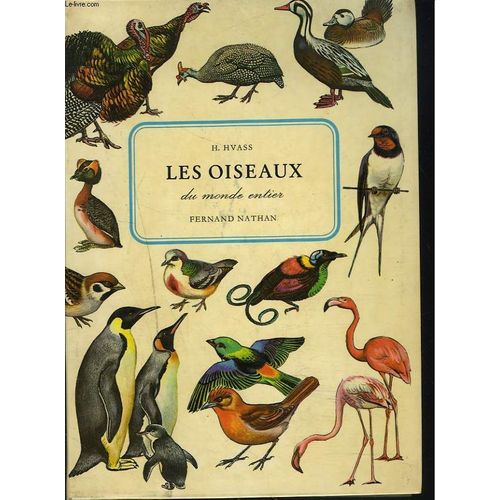 Les Oiseaux Du Monde Entier