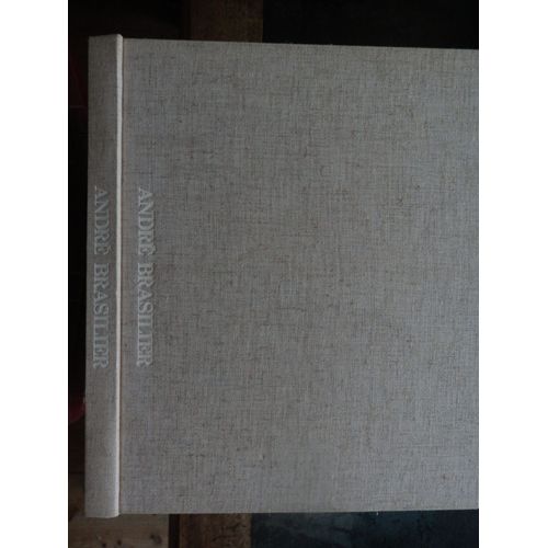 André Brasilier  (Présentation De L' Oeuvre De L'artiste) Édition Bilingue Français-Japonais