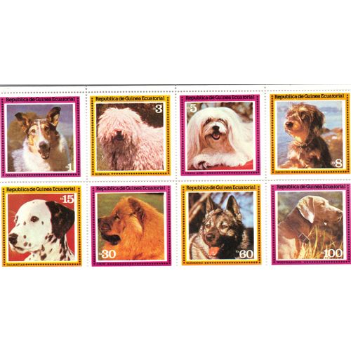 Guinee Equatoriale 1978 : Chiens De Race : Série De 8 Timbres Neufs **  Et Attenants Cote 10 