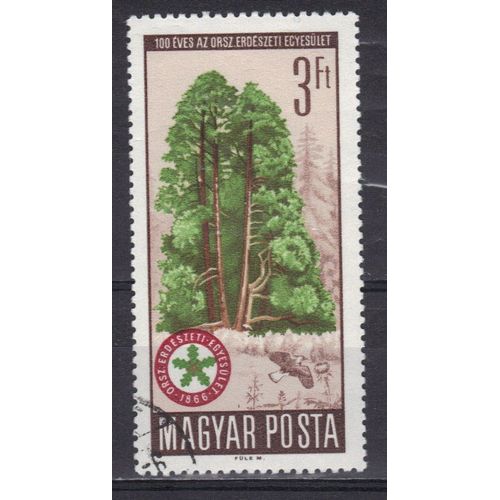 Hongrie 1966 : Orée De Forêt : Arbres Divers Élancés - Timbre Oblitéré