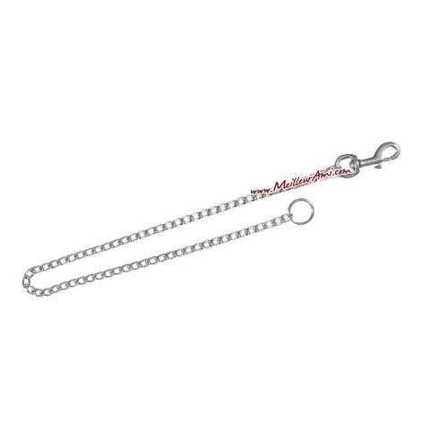 Bas De Laisse Chien Métal 80 Cm 3 Mm