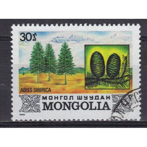 Mongolie 1982 : Arbres : Abies Sibirica - Timbre Oblitéré