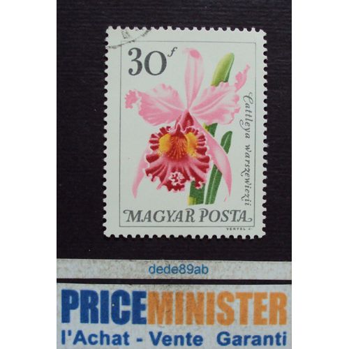 Hongrie..  30f Magyar Posta . Fleurs : Orchidée Cattleya Warscewiczii . Oblitéré.
