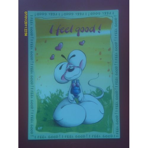 Carte Postale Diddl 64 I Feel Good Kontikki