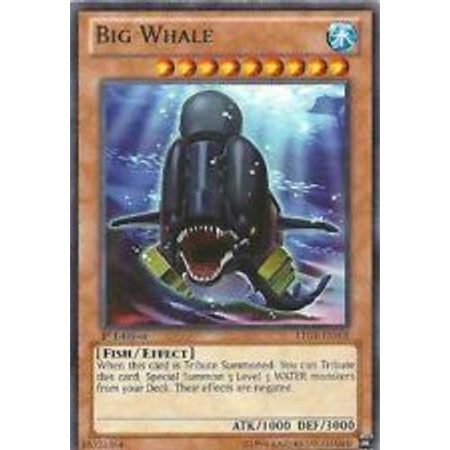 Grande Baleine - Ltgy Fr008 - Rare