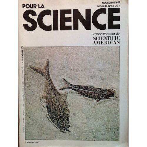 Pour La Science (Scientific American) L'évolution 13