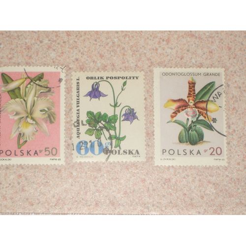 Pologne , Lot De 3 Timbres , Thème Fleurs , Années 1965