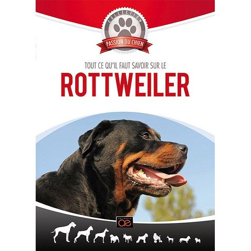 Tout Ce Qu'il Faut Savoir Sur Le Rottweiler