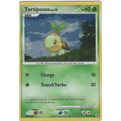 Carte Pokémon "Tortipouss Niv.10" Pv60 Holo 103/130